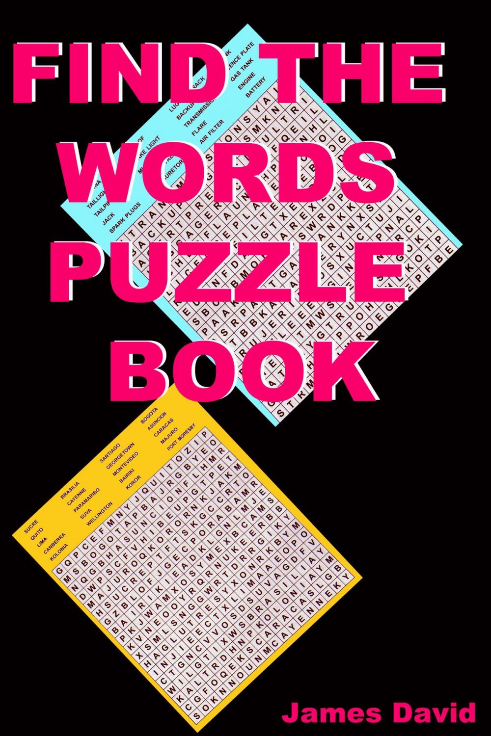 Big bigCover of Find The Words Puzzle Book