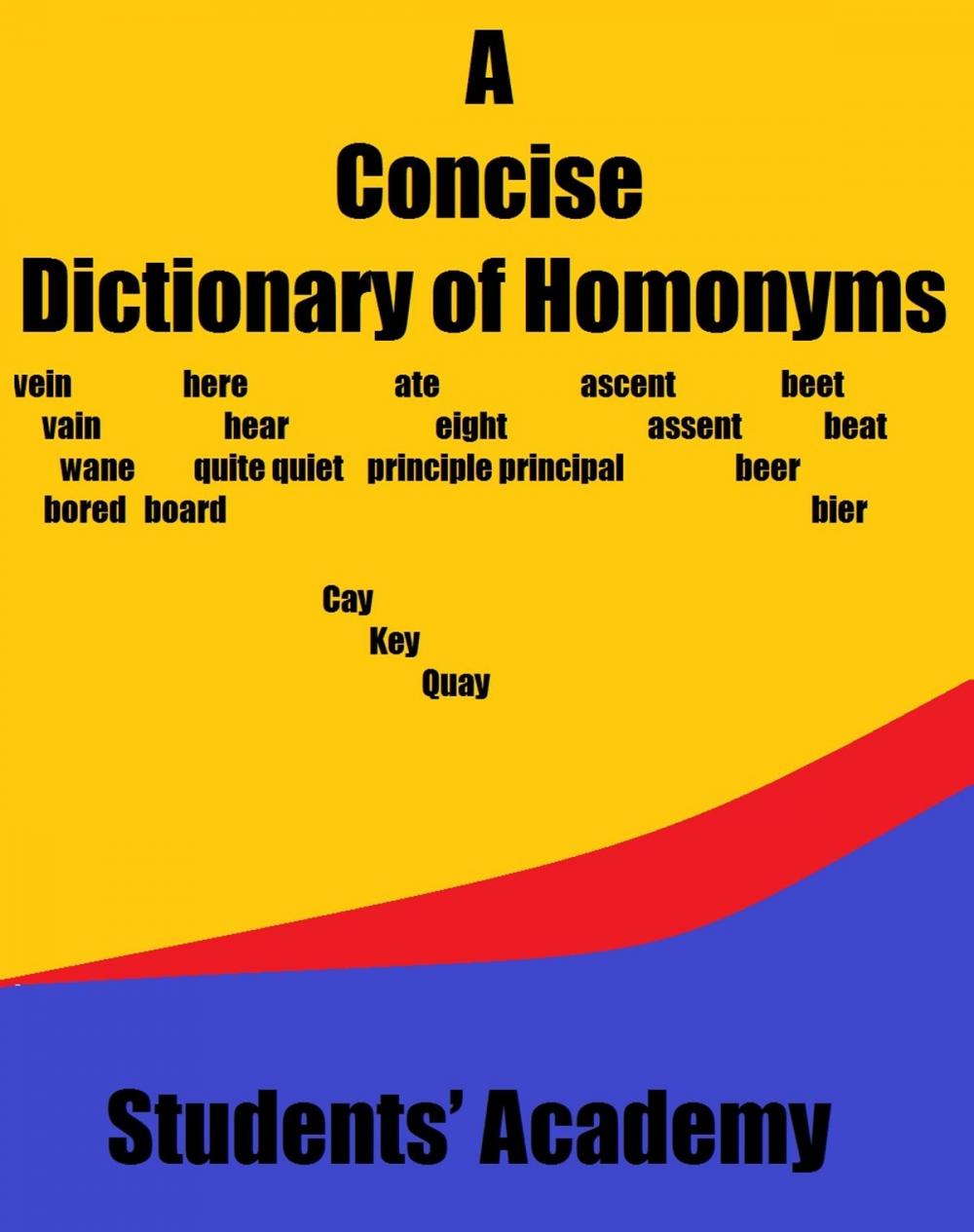 Big bigCover of A Concise Dictionary of Homonyms
