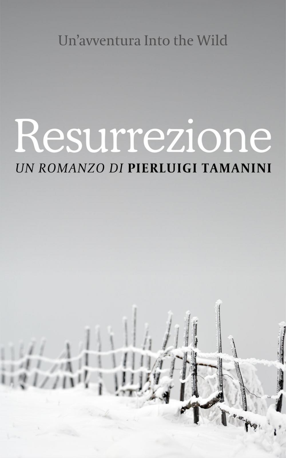 Big bigCover of Resurrezione