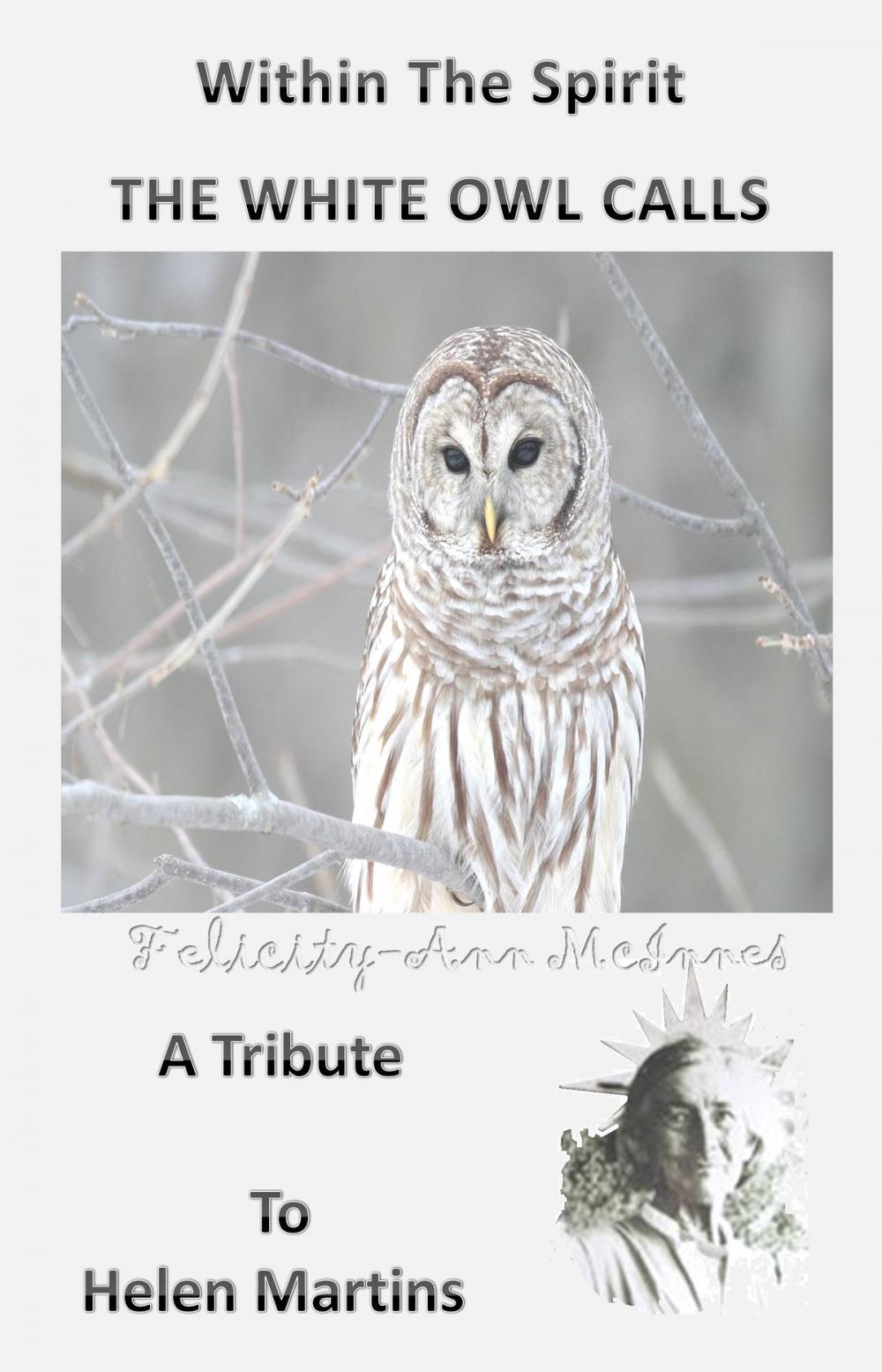 Big bigCover of Within The Spirit: The White Owl Calls