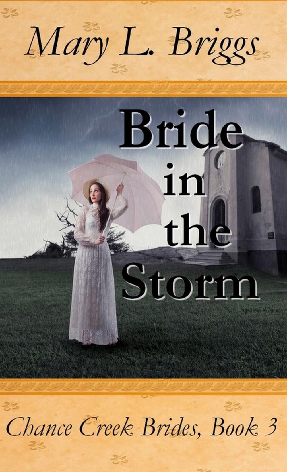 Big bigCover of Bride in the Storm (Chance Creek Brides Book 3)