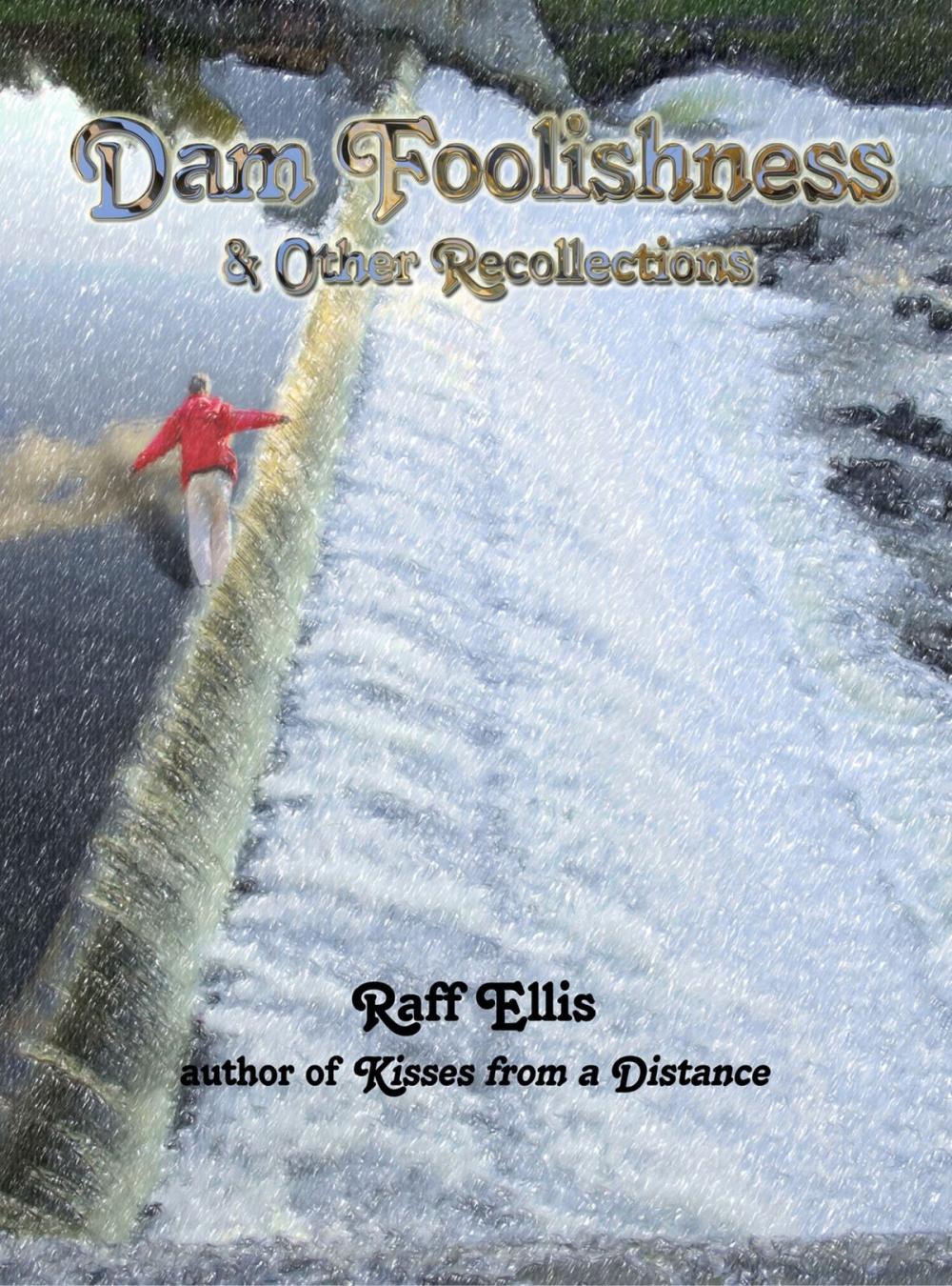 Big bigCover of Dam Foolishness