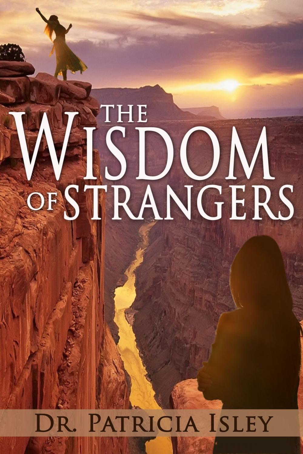 Big bigCover of The Wisdom of Strangers