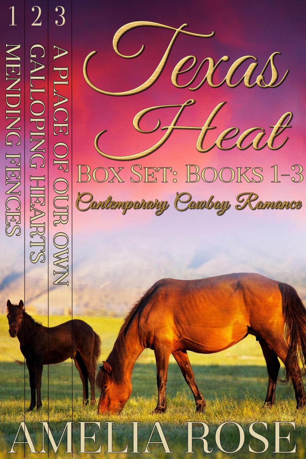 Big bigCover of Texas Heat Box Set: Books 1-3