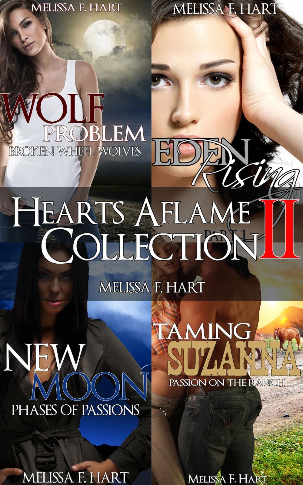 Big bigCover of Hearts Aflame Collection II: 4-Book Bundle