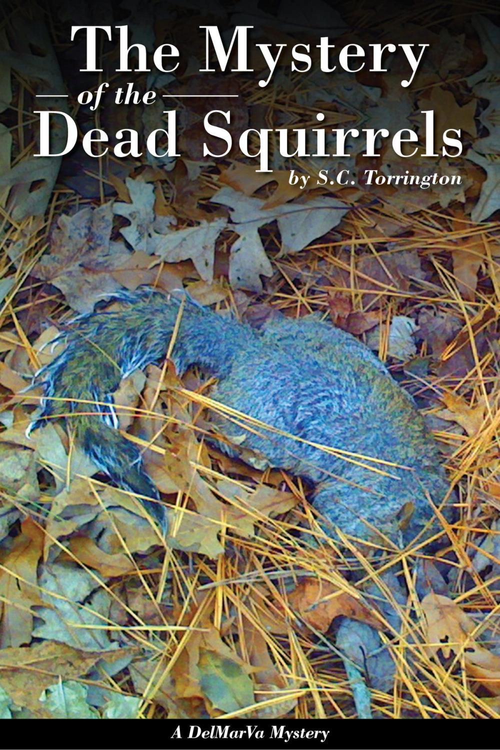 Big bigCover of The Mystery of the Dead Squirrels