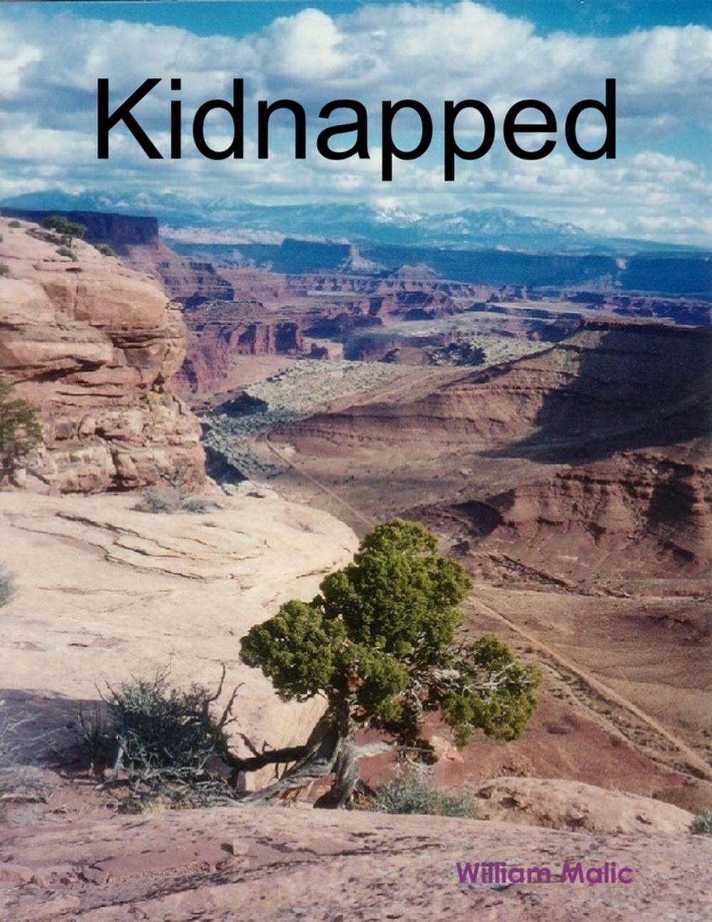 Big bigCover of Kidnapped