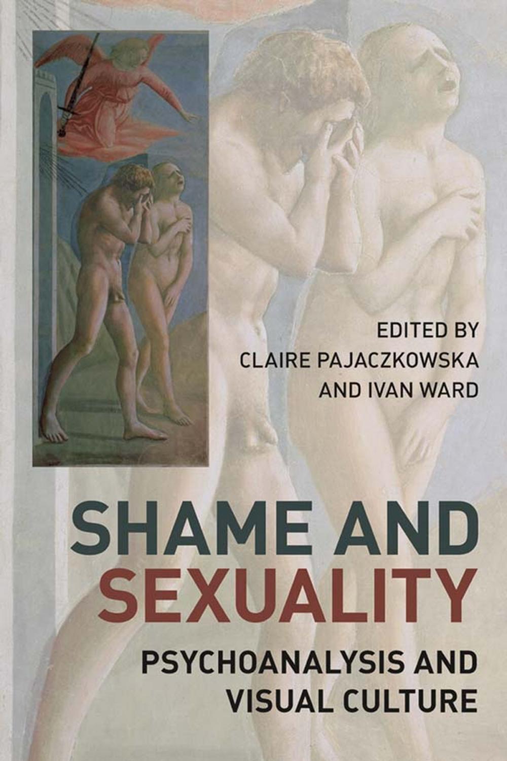 Big bigCover of Shame and Sexuality