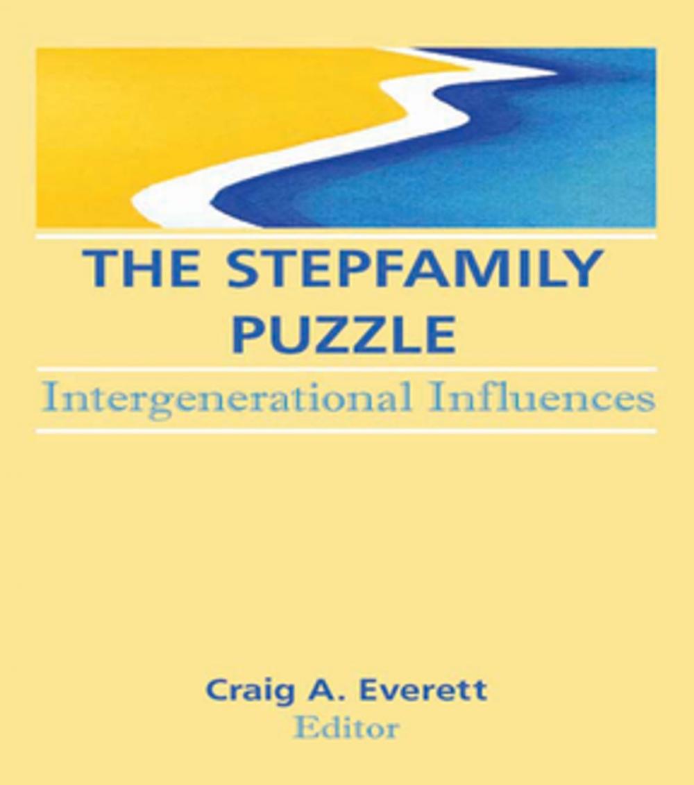 Big bigCover of The Stepfamily Puzzle