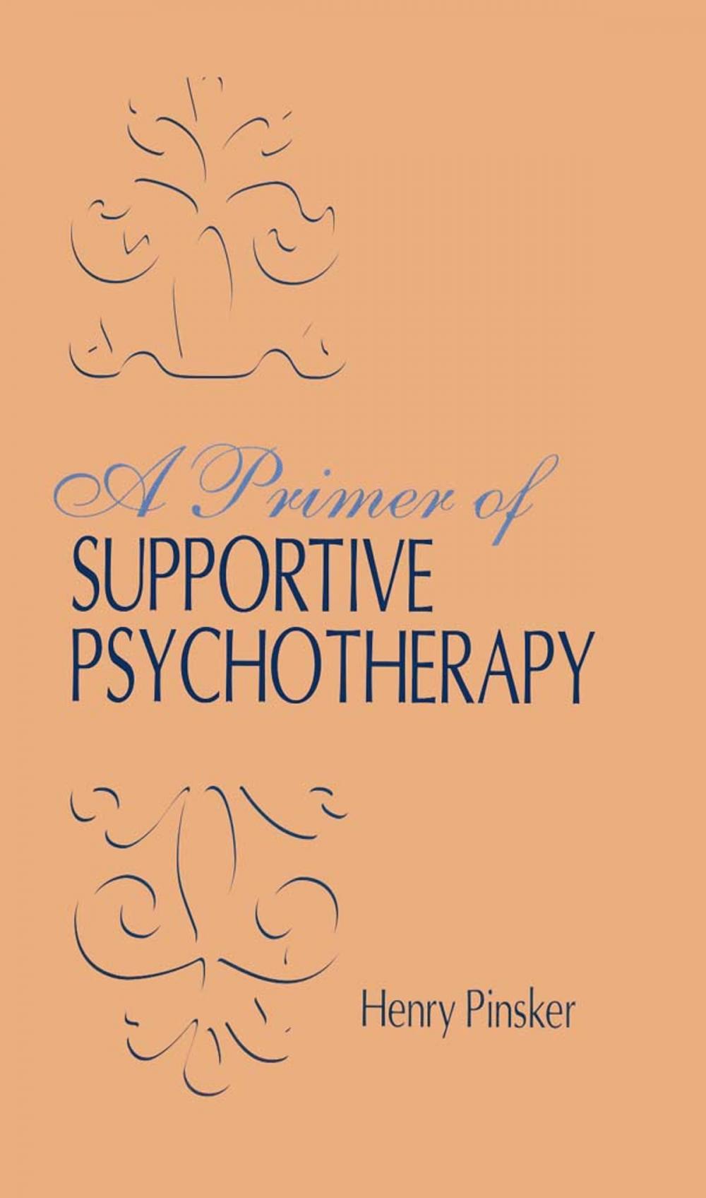 Big bigCover of A Primer of Supportive Psychotherapy