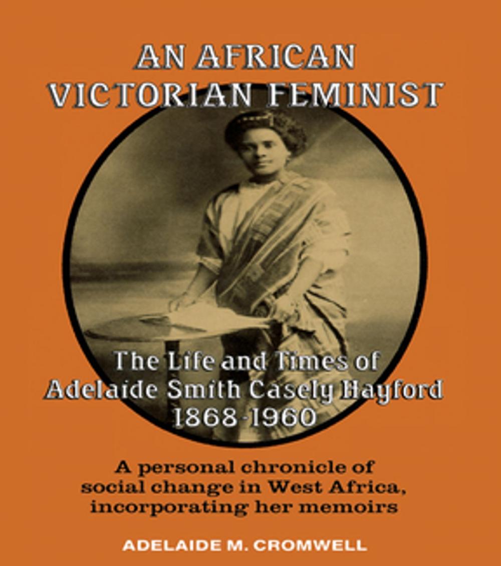 Big bigCover of An African Victorian Feminist