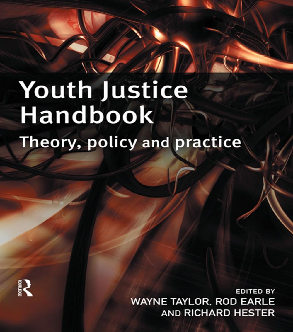 Big bigCover of Youth Justice Handbook