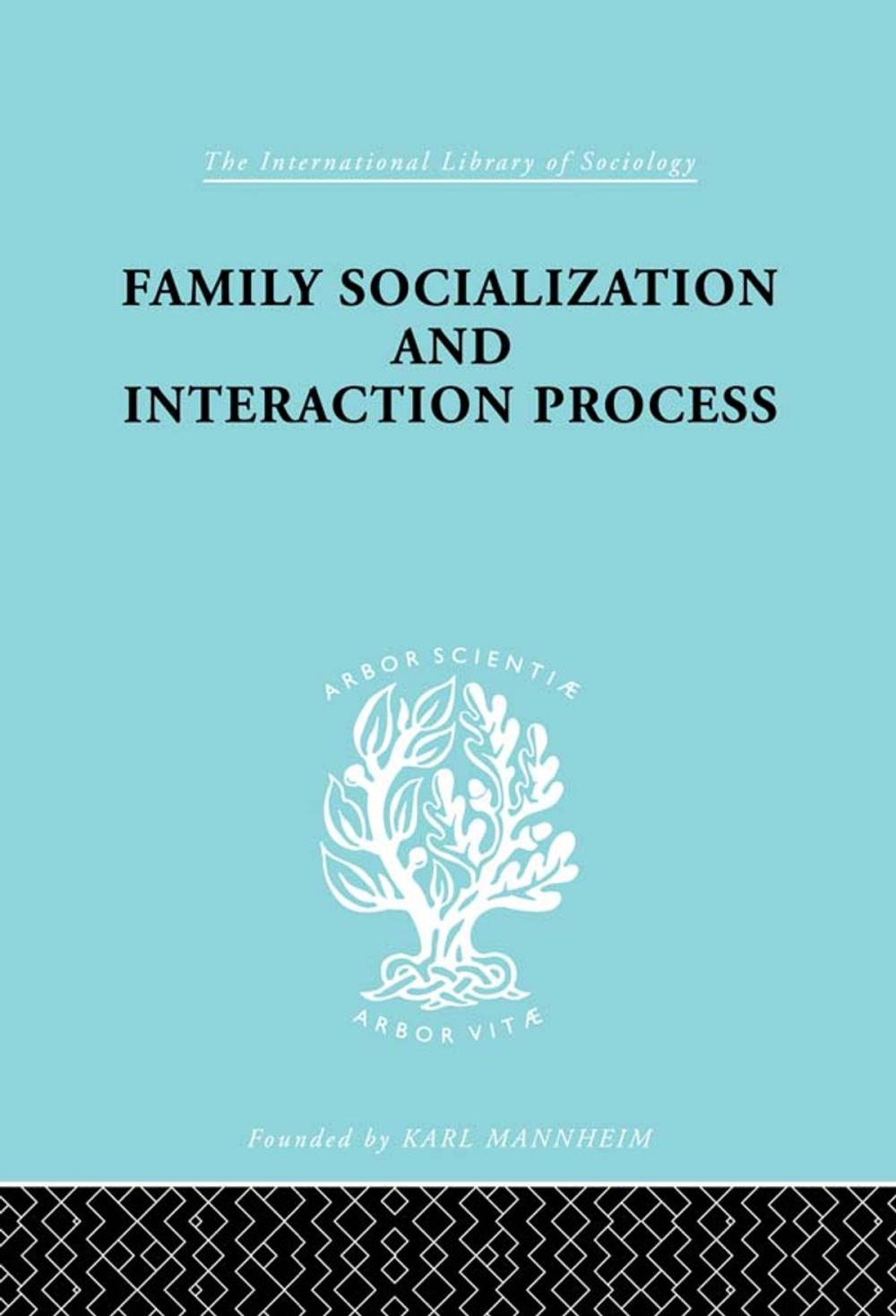 Big bigCover of Family: Socialization and Interaction Process