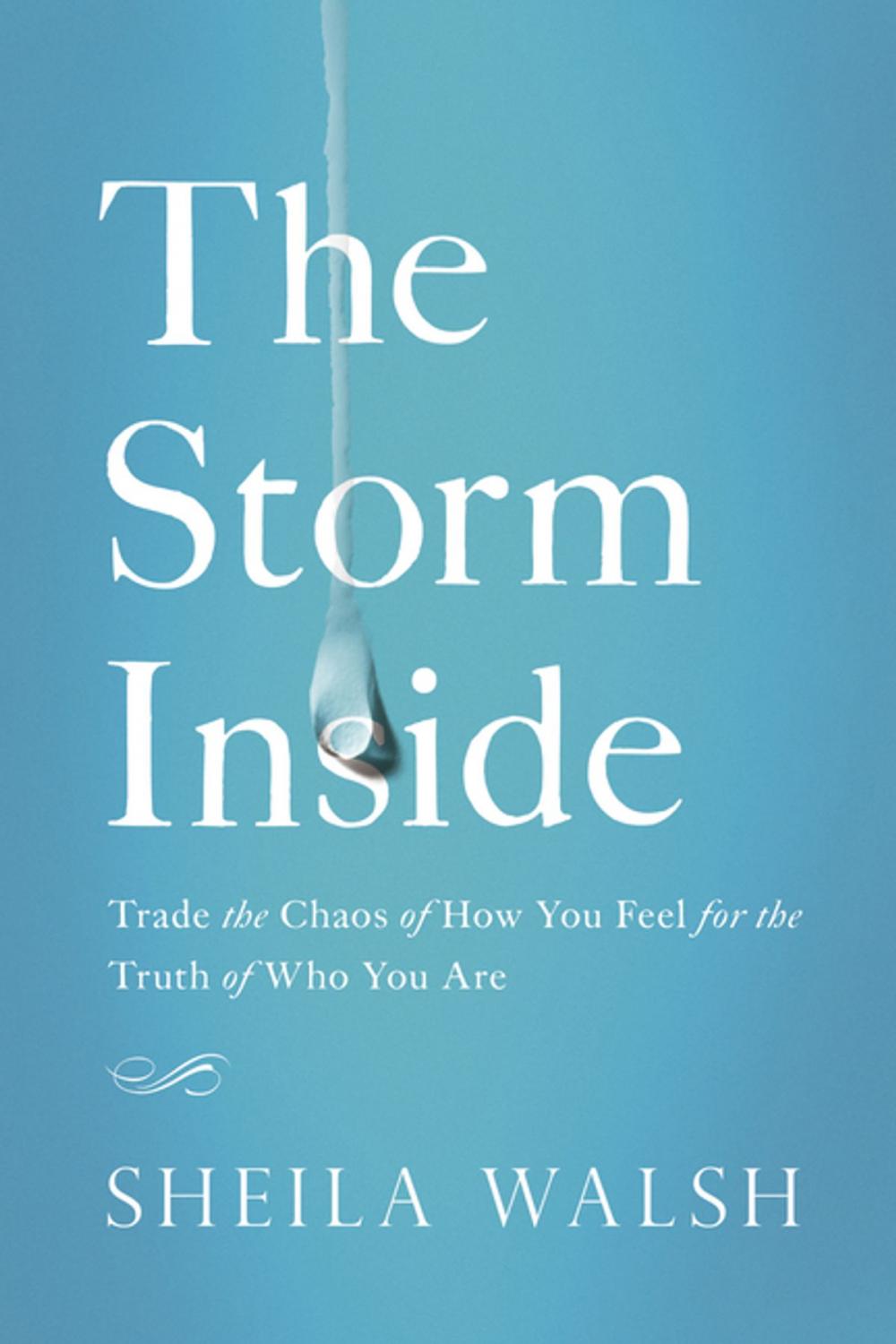 Big bigCover of The Storm Inside