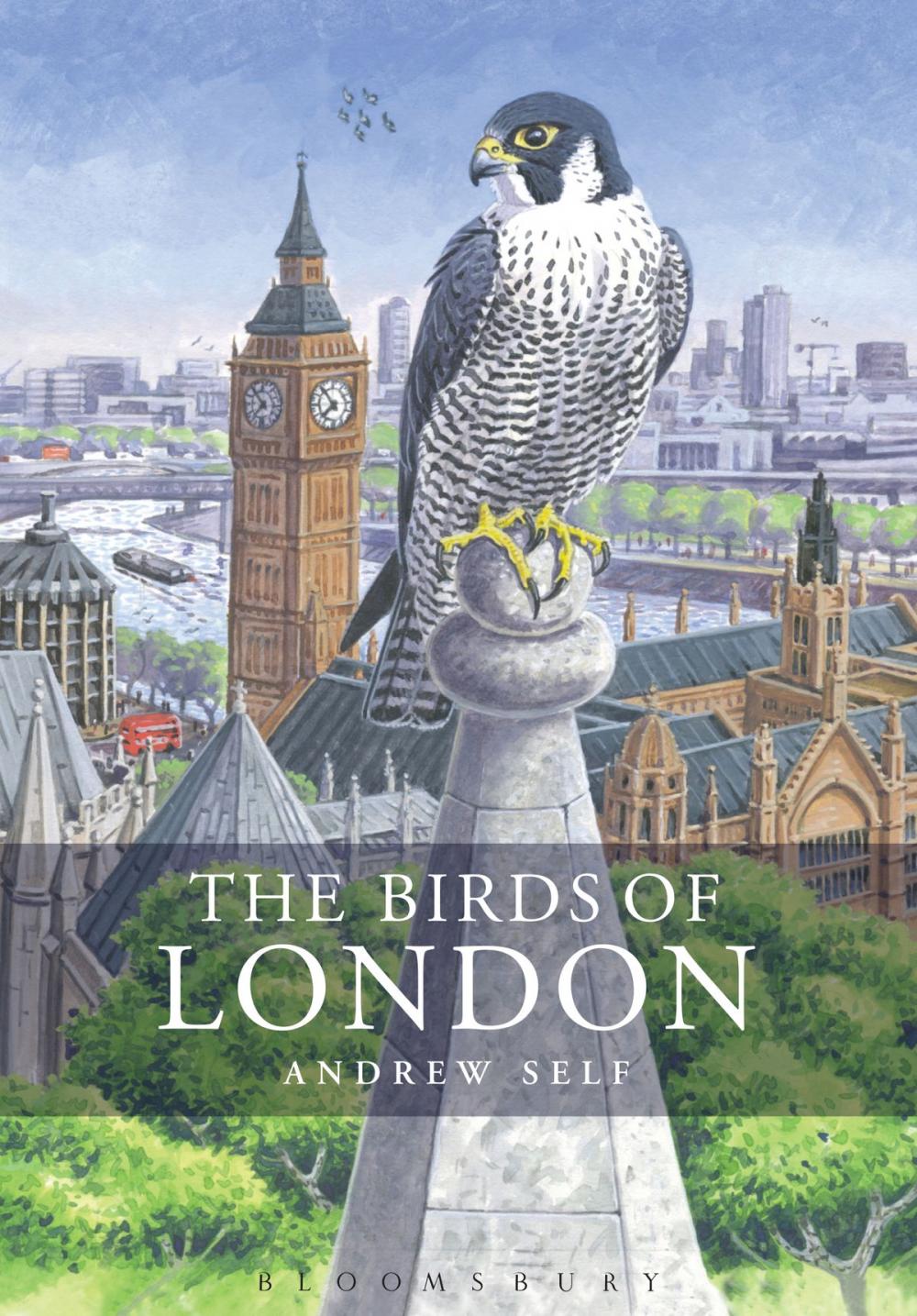 Big bigCover of The Birds of London