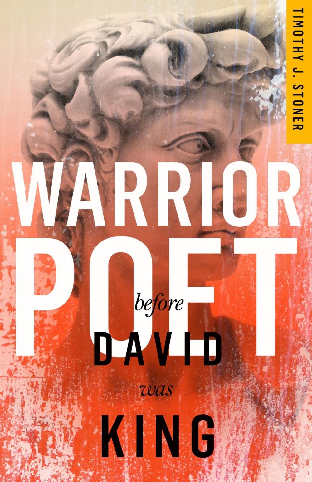 Big bigCover of Warrior Poet