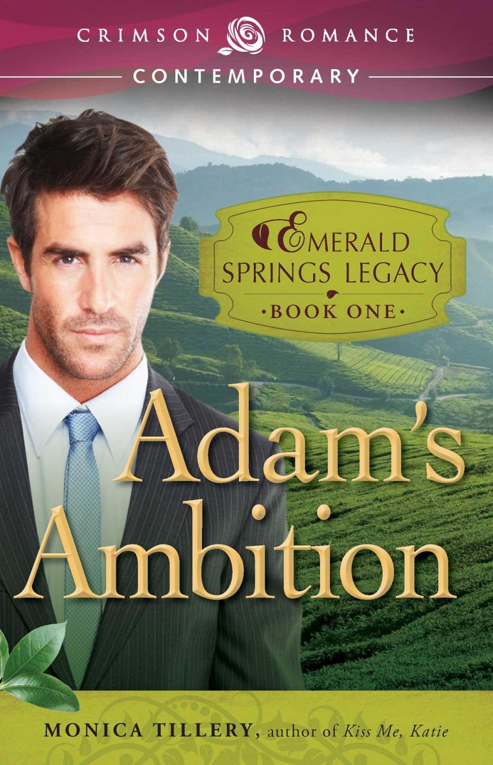 Big bigCover of Adam's Ambition