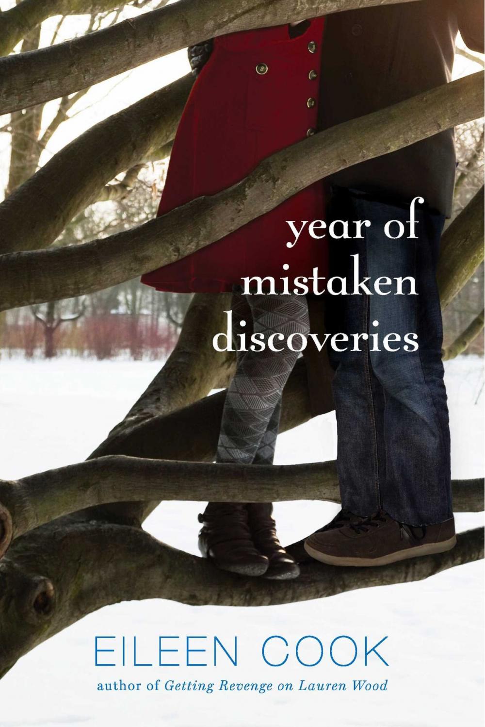 Big bigCover of Year of Mistaken Discoveries