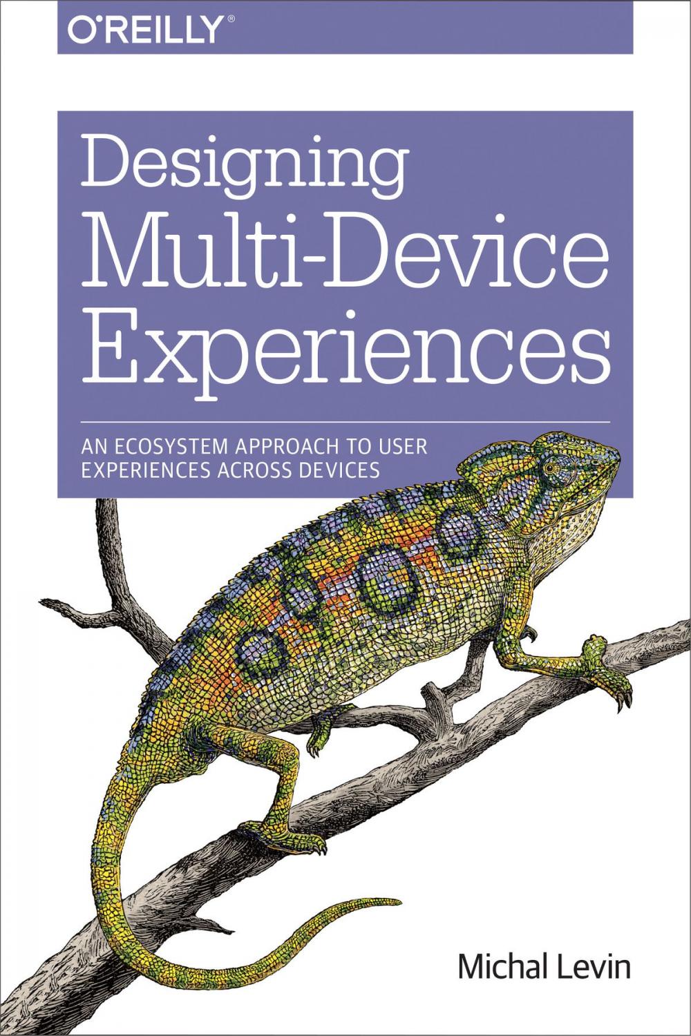 Big bigCover of Designing Multi-Device Experiences