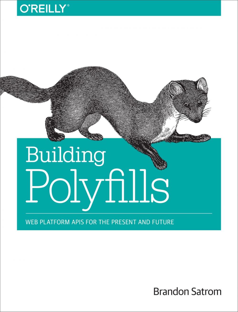 Big bigCover of Building Polyfills