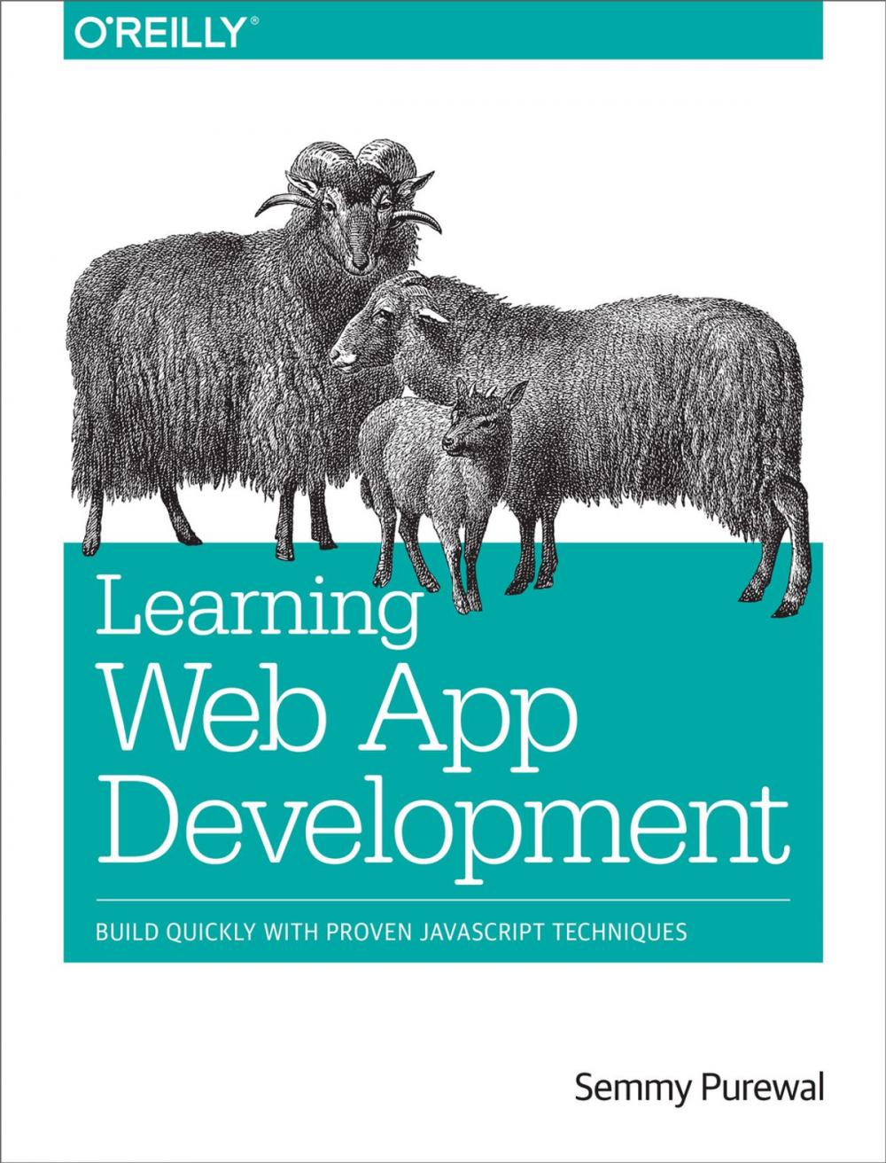 Big bigCover of Learning Web App Development