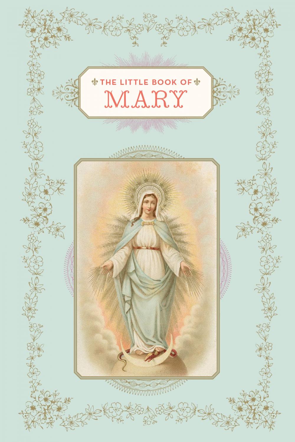 Big bigCover of The Little Book of Mary