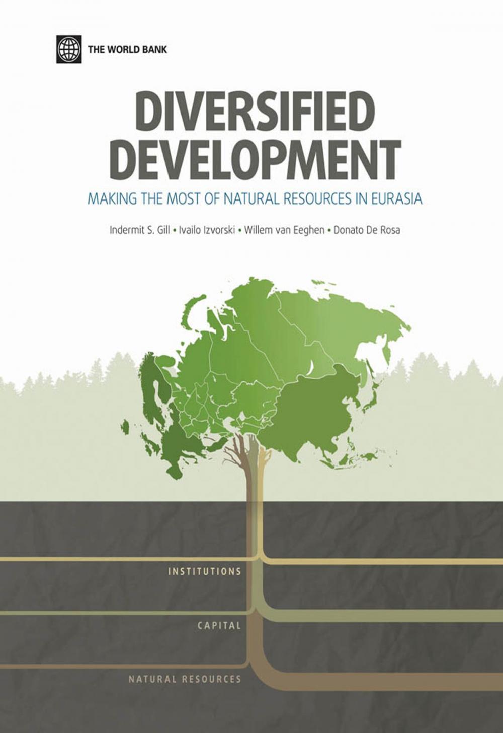 Big bigCover of Diversified Development