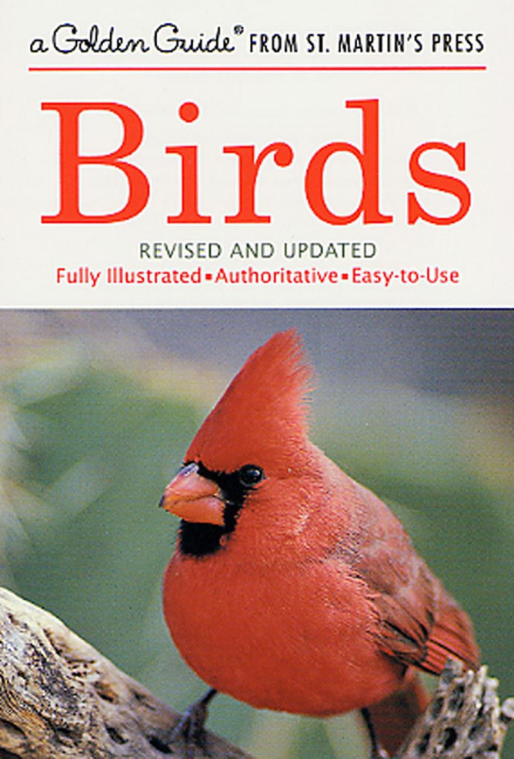 Big bigCover of Birds