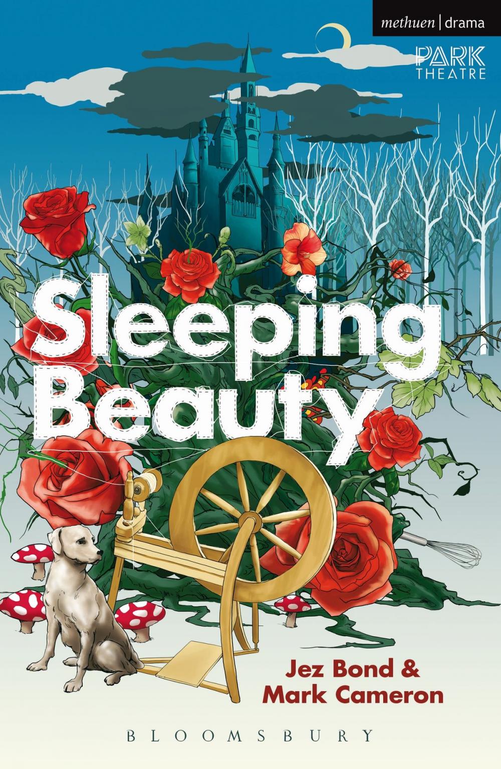 Big bigCover of Sleeping Beauty