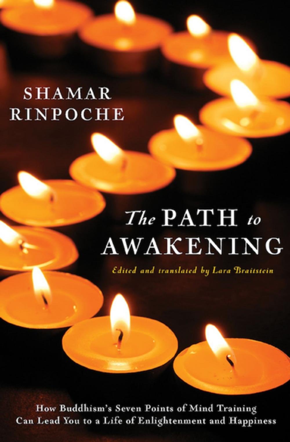 Big bigCover of The Path to Awakening