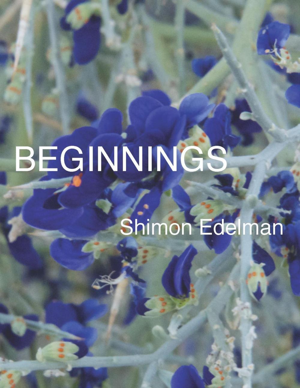 Big bigCover of Beginnings