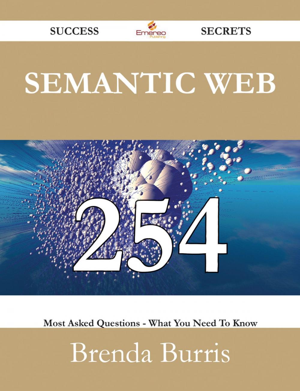 Big bigCover of Semantic Web 254 Success Secrets - 254 Most Asked Questions On Semantic Web - What You Need To Know