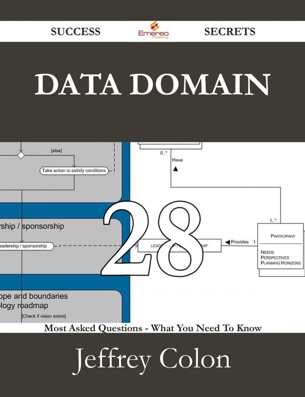 Big bigCover of Data Domain 28 Success Secrets - 28 Most Asked Questions On Data Domain - What You Need To Know