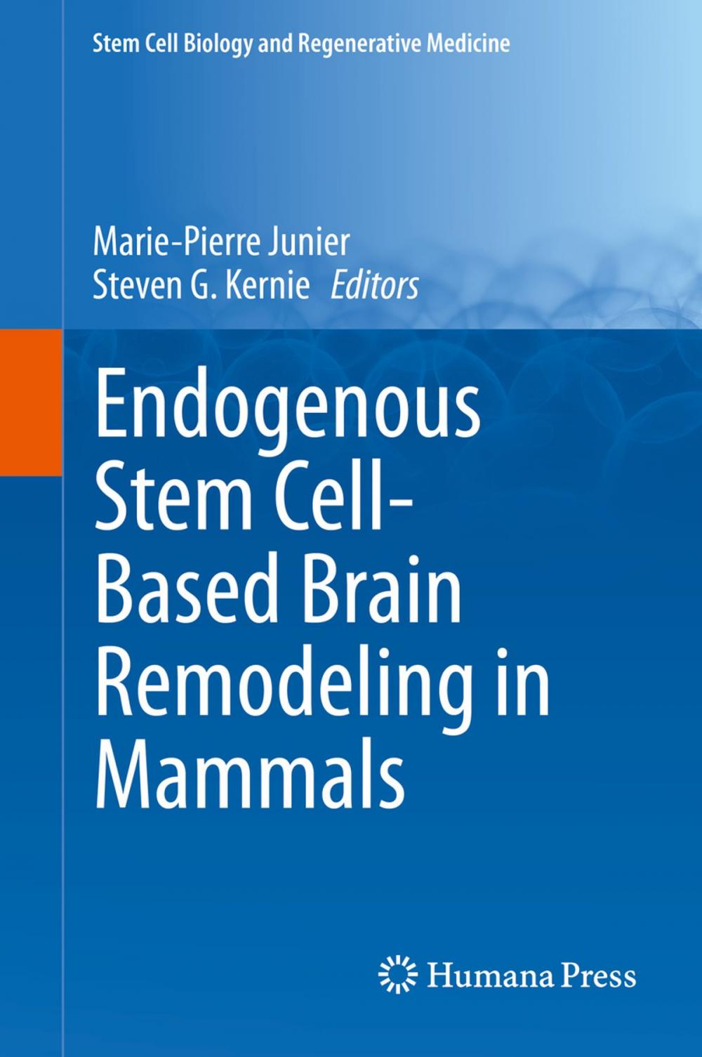 Big bigCover of Endogenous Stem Cell-Based Brain Remodeling in Mammals