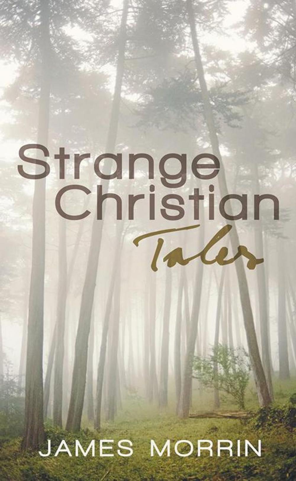 Big bigCover of Strange Christian Tales