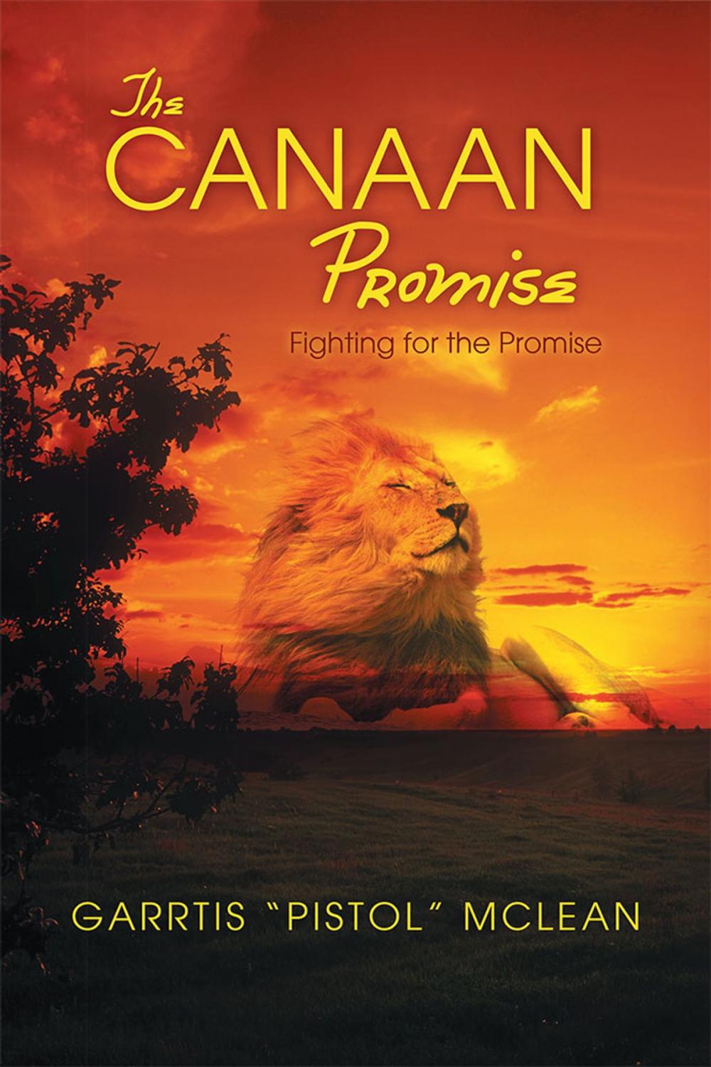 Big bigCover of The Canaan Promise