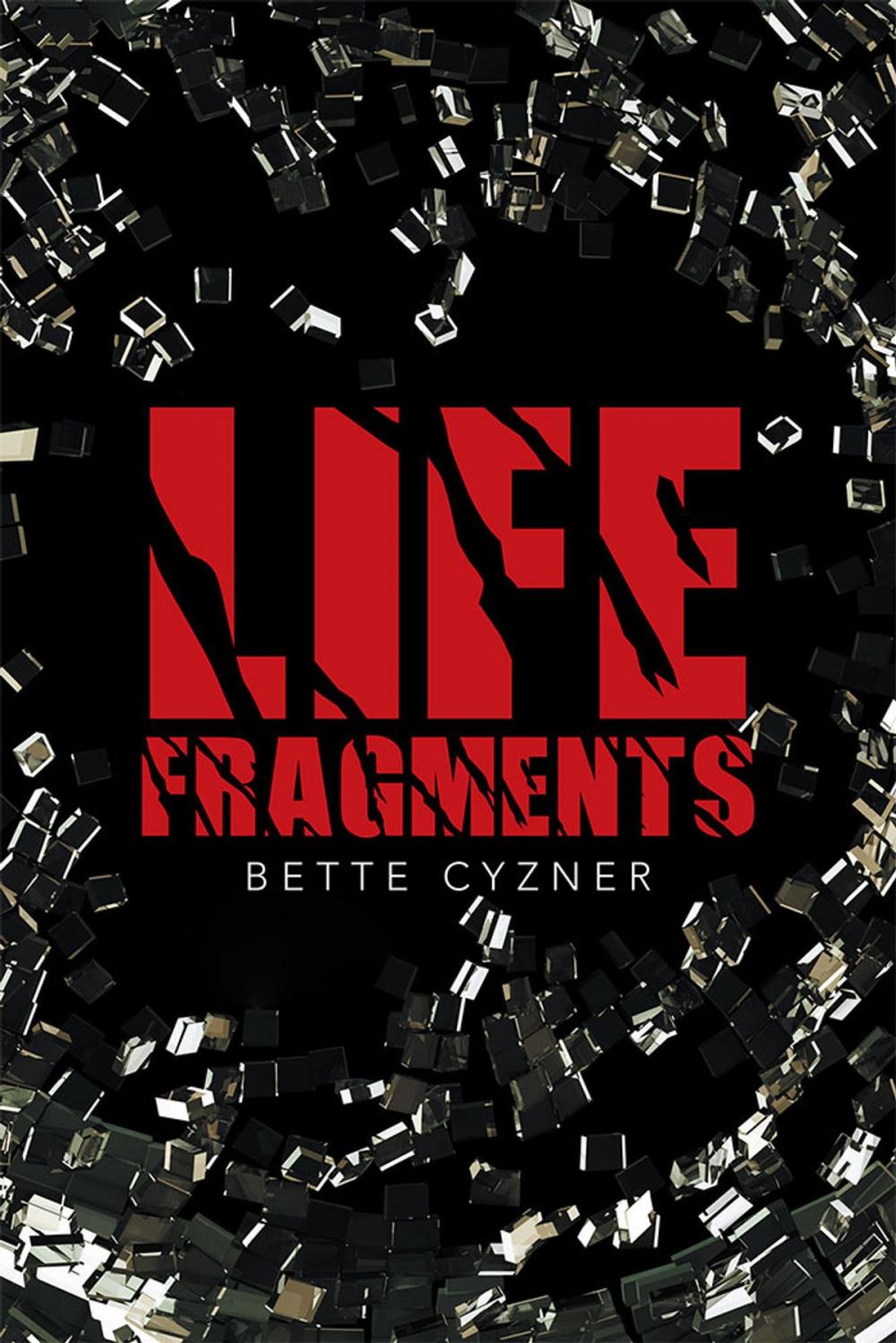 Big bigCover of Life Fragments