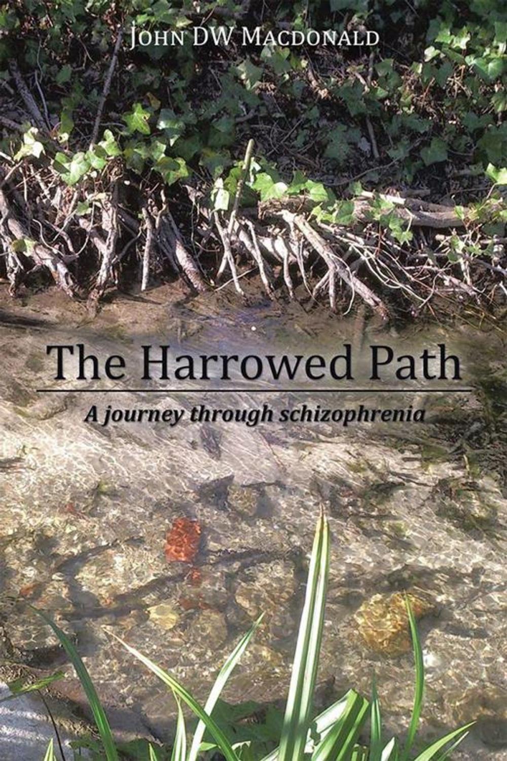 Big bigCover of The Harrowed Path