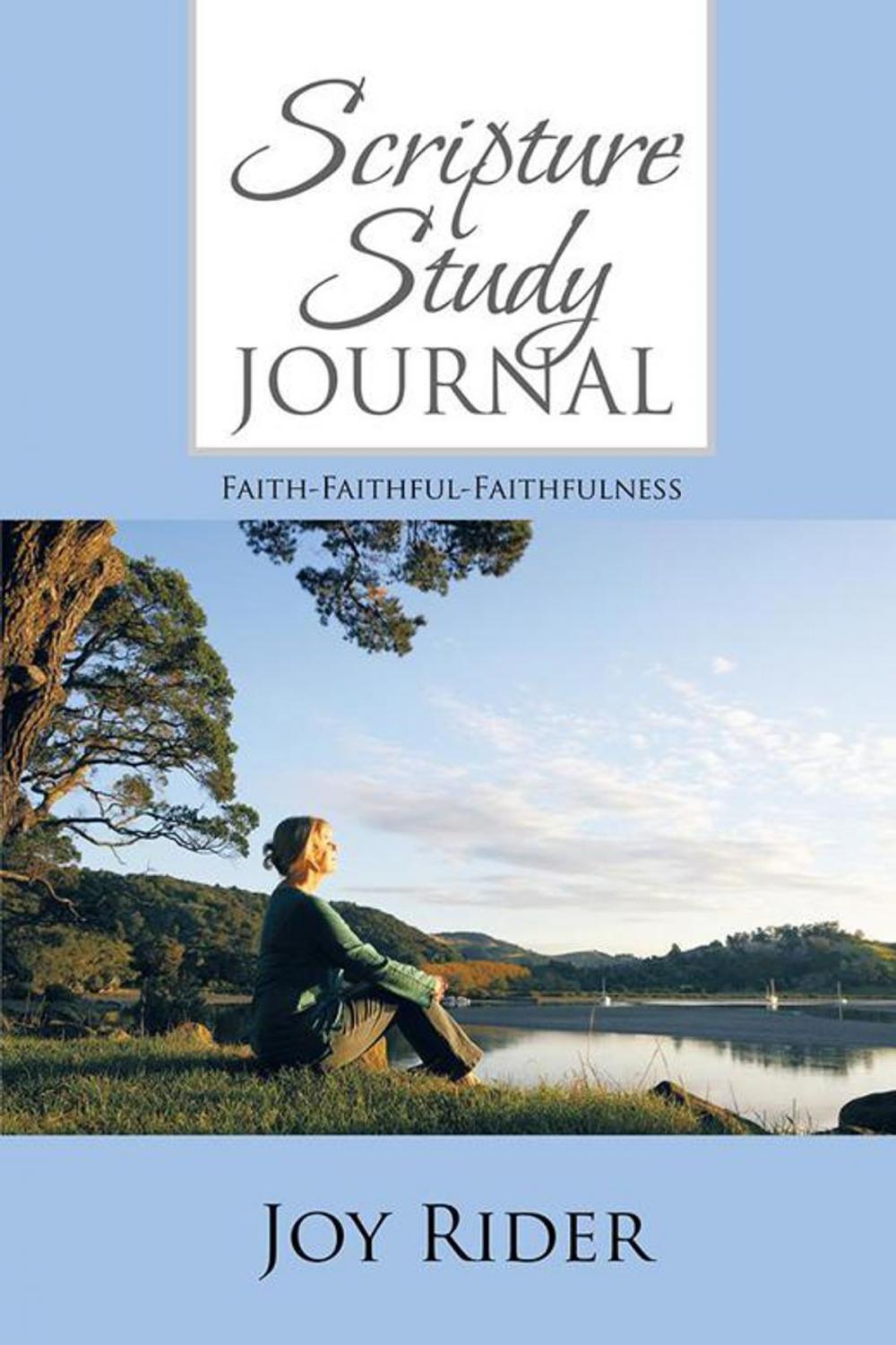 Big bigCover of Scripture Study Journal