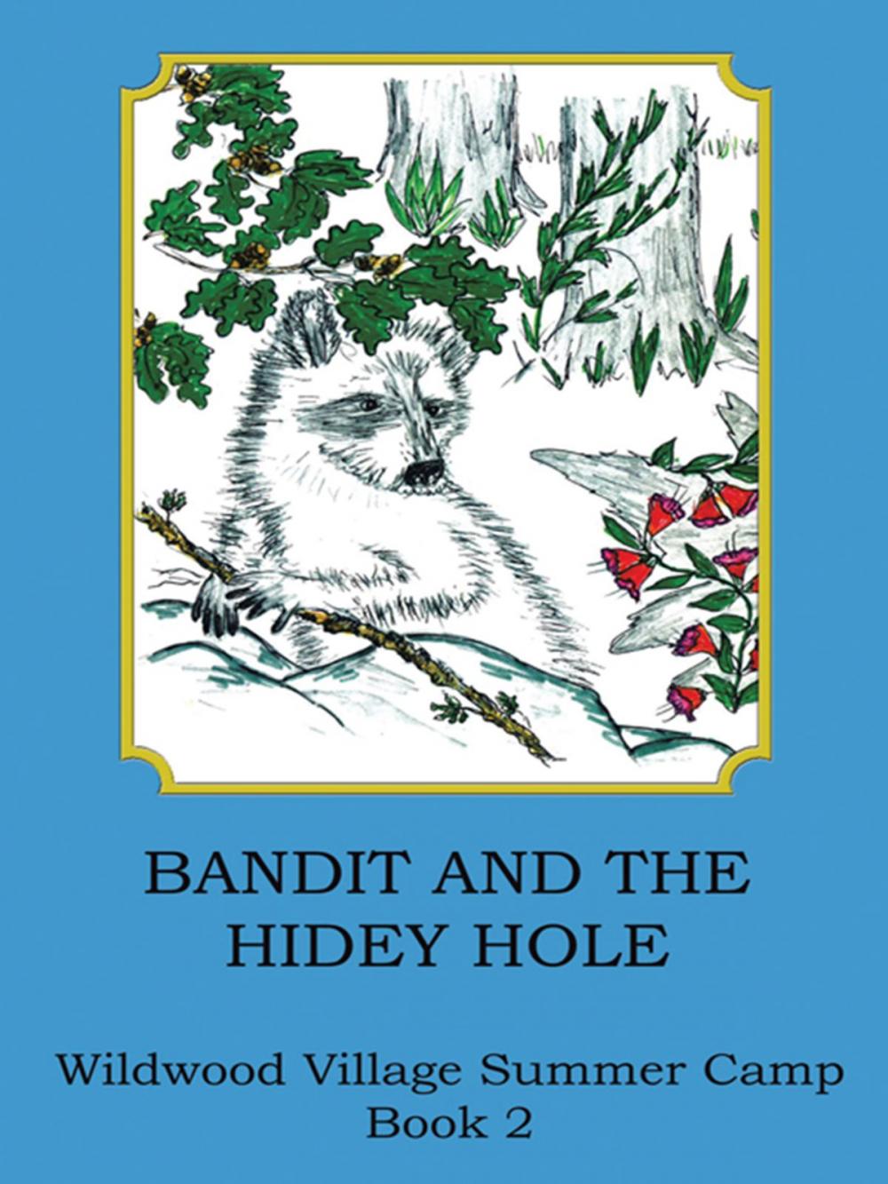 Big bigCover of Bandit and the Hidey Hole