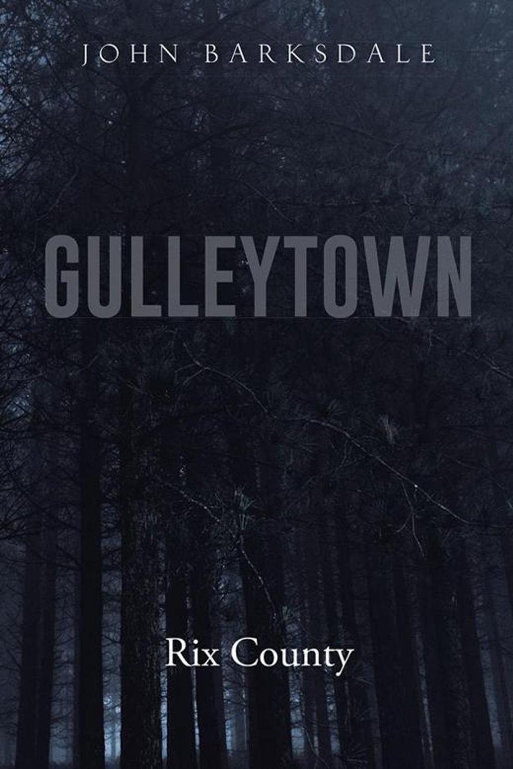 Big bigCover of Gulleytown