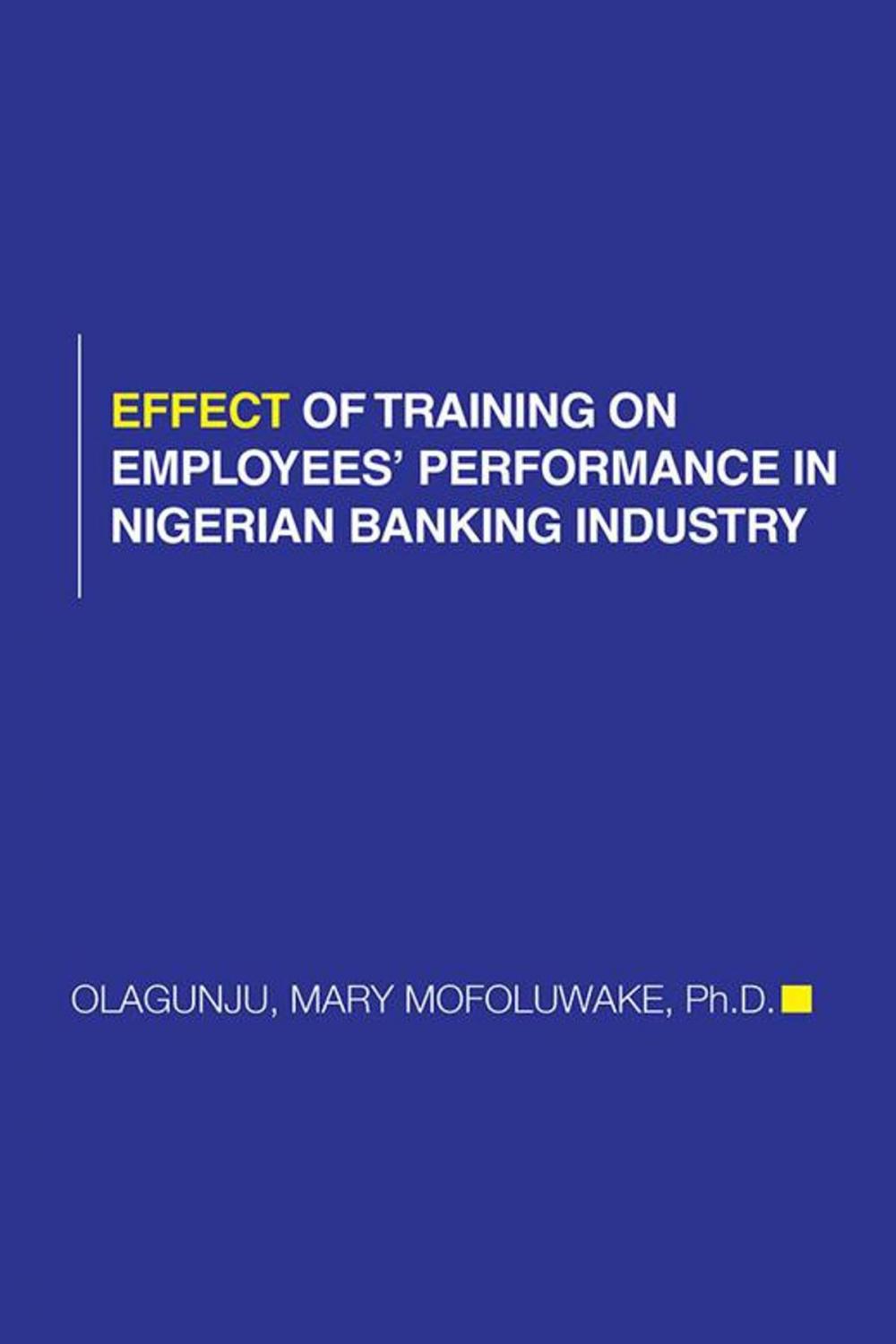 Big bigCover of Effect of Training on Employees' Performance in Nigerian Banking Industry