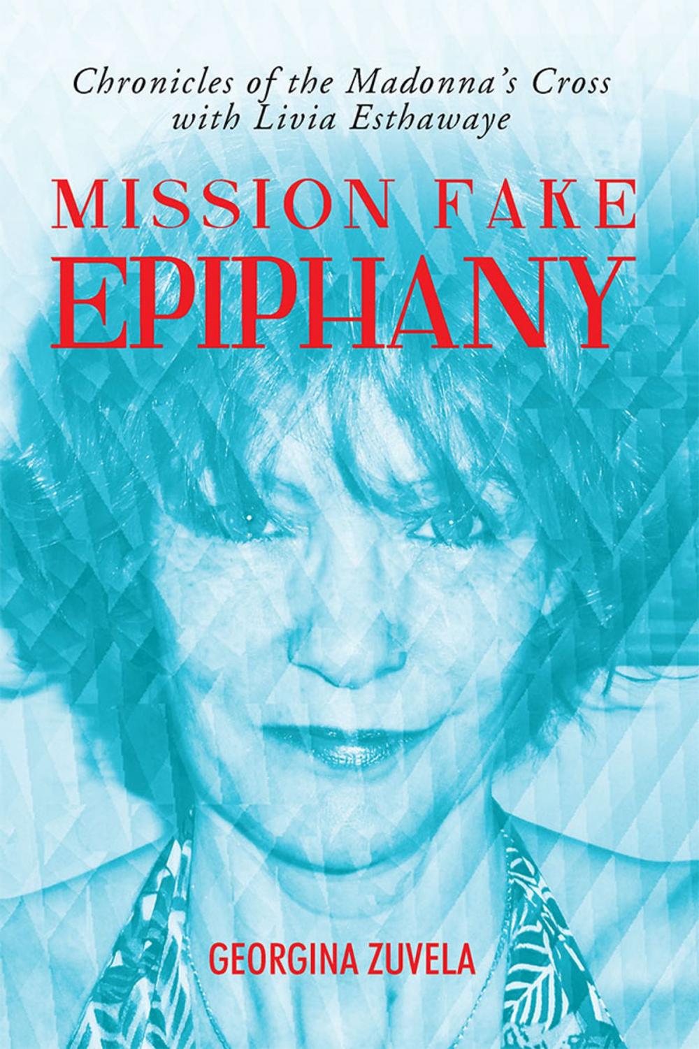 Big bigCover of Mission Fake Epiphany