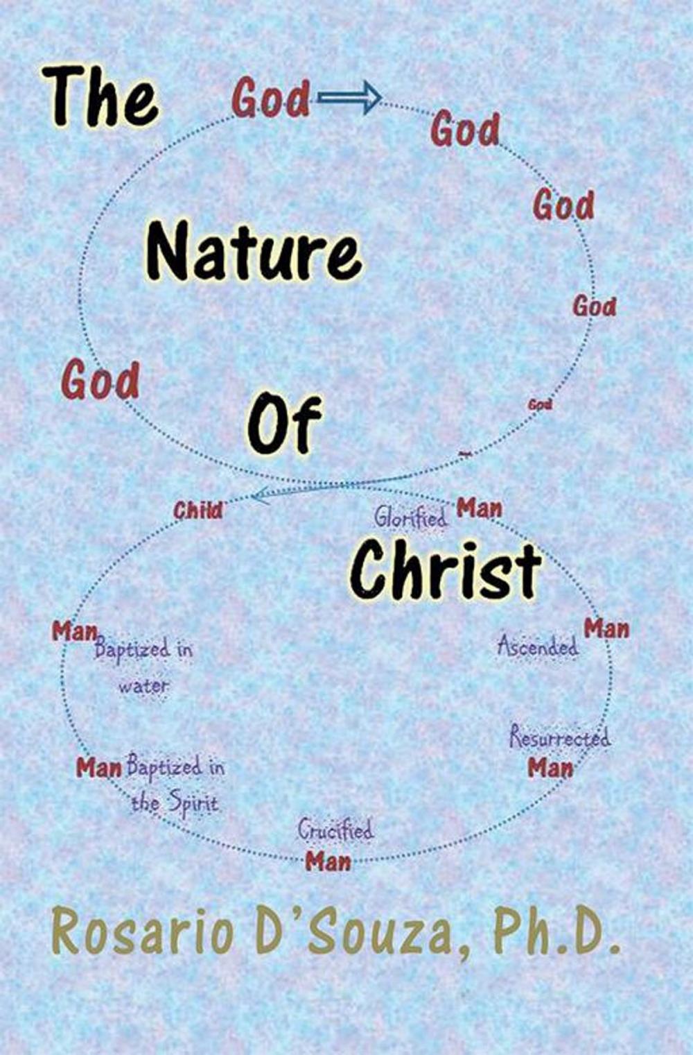 Big bigCover of The Nature of Christ