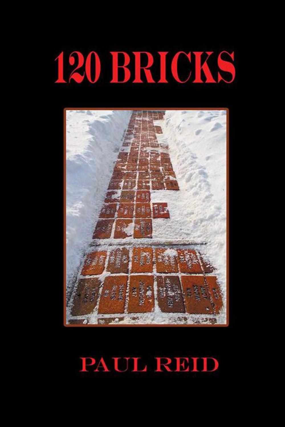 Big bigCover of 120 Bricks