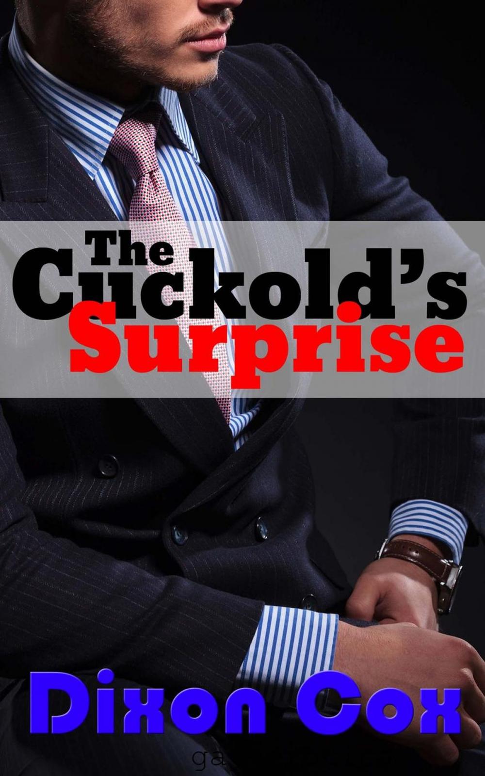 Big bigCover of The Cuckold's Surprise