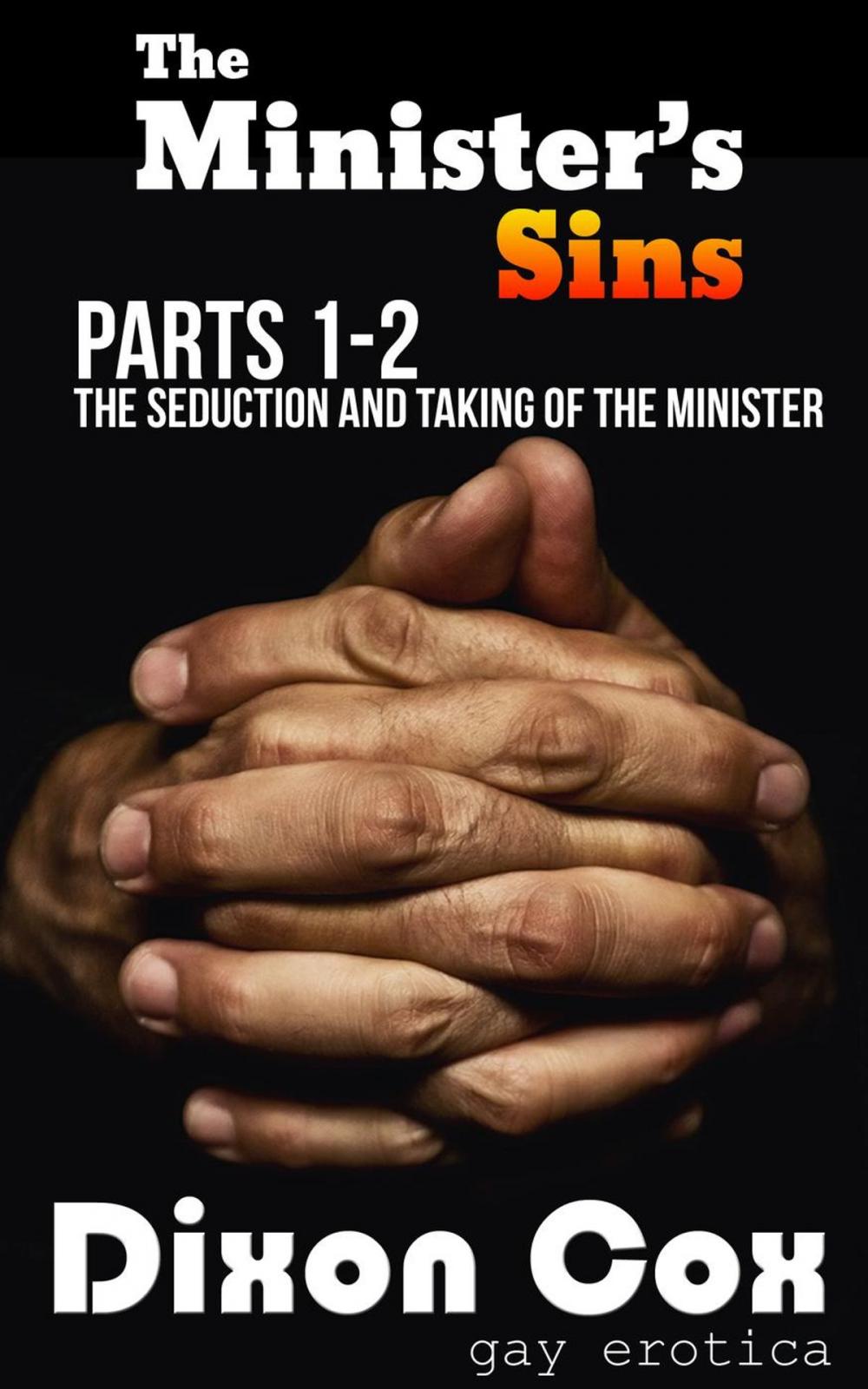 Big bigCover of The Minister's Sins - The Seduction and Taking of the Minister