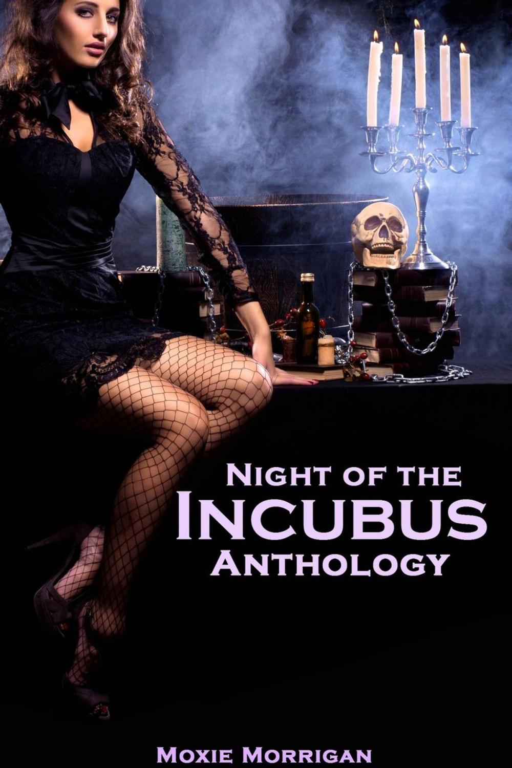 Big bigCover of Night of the Incubus Anthology