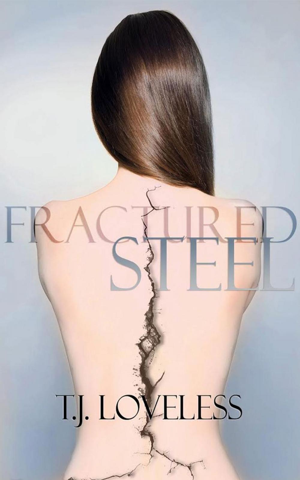 Big bigCover of Fractured Steel