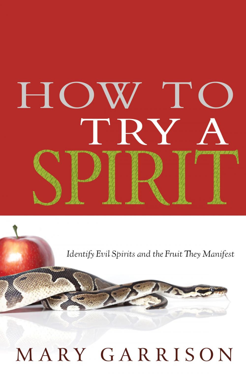 Big bigCover of How to Try a Spirit